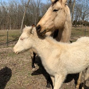 Meet your Posher, Andy